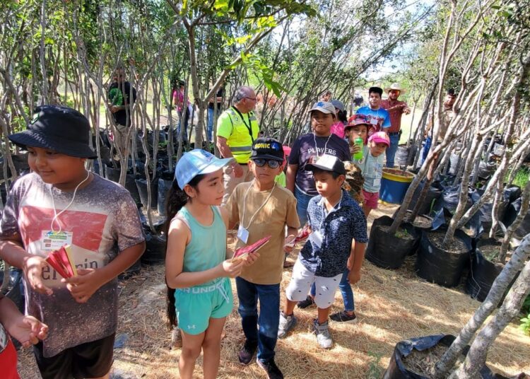 Clausuran con éxito el ‘Taller de Verano Guardianes del Planeta’