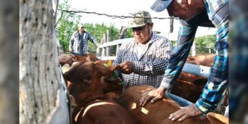 Continúa entrega de Paquetes Tecnológicos Pecuarios en Tamaulipas