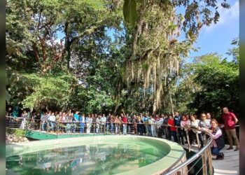 Disfrutan miles de familias espacios recreativos de la Comisión de Parques