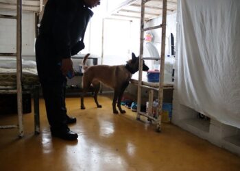 En Tamaulipas supervisiones a los CEDES son permanentes