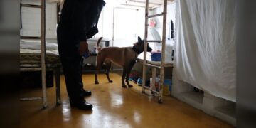 En Tamaulipas supervisiones a los CEDES son permanentes