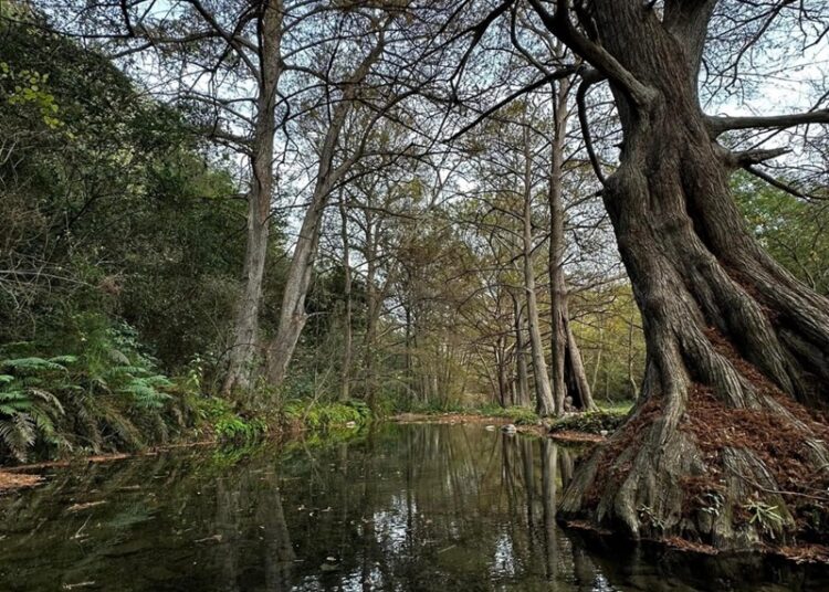 Impulsan desarrollo turístico de Ciudad Victoria