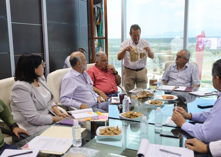 Impulsan en Tamaulipas la transformación del sorgo blanco