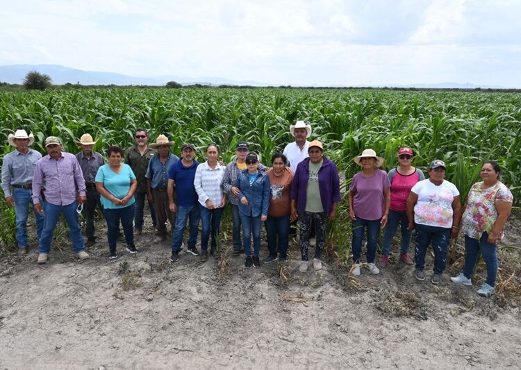 Impulsan productividad y sostenibilidad del sector agropecuario tamaulipeco