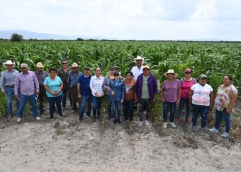 Impulsan productividad y sostenibilidad del sector agropecuario tamaulipeco