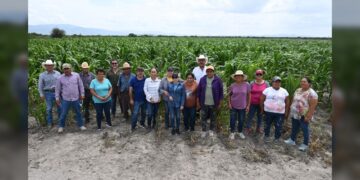 Impulsan productividad y sostenibilidad del sector agropecuario tamaulipeco