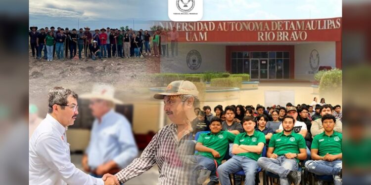 Obra de AVA, esencial en disminución de la pobreza en Tamaulipas