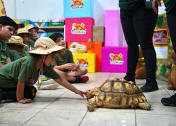 Inicia el programa educativo ‘ZooKids’ en el ZOO de NLD