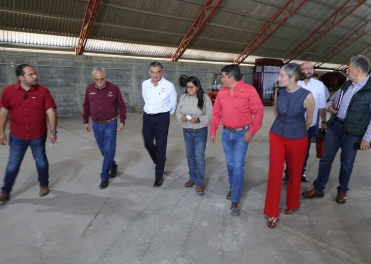 Iniciará operaciones empacadora de carbón vegetal “El Bernal”