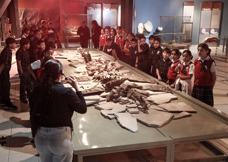 Invita Dirección de Arte y Cultura a disfrutar de los Museos durante el periodo vacacional