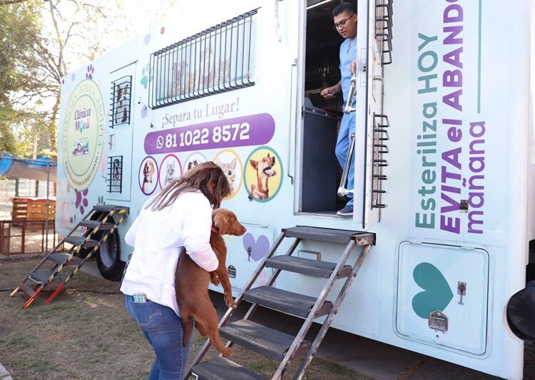 Invita NLD a campaña gratuita de esterilización para perros y gatos