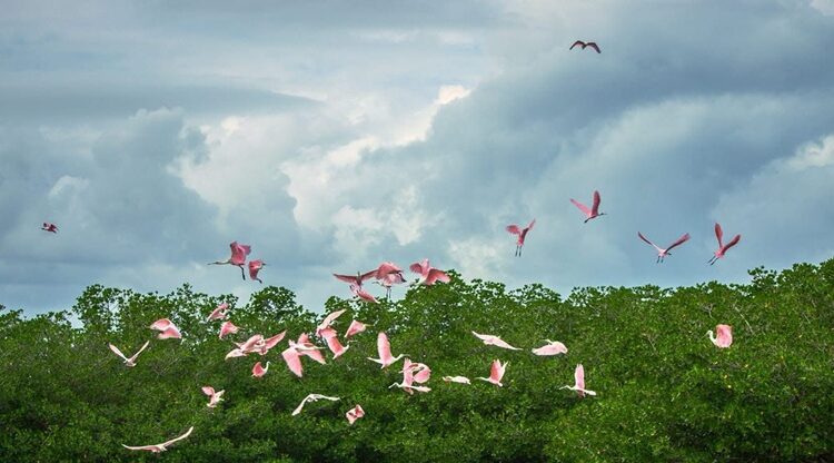 Invitan a visitar Soto la Marina, un destino de encanto