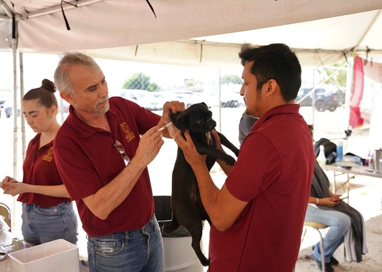 Llegará “Presidencia Cerquita de Ti” a colonia Hidalgo
