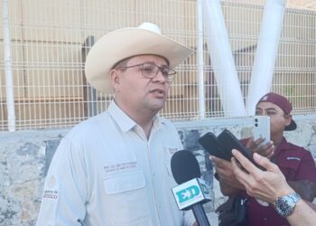 Advierte diputada sobre rezago en la enseñanza de lectura en las escuelas de Tamaulipas