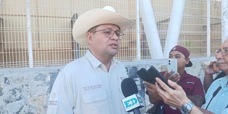 Advierte diputada sobre rezago en la enseñanza de lectura en las escuelas de Tamaulipas