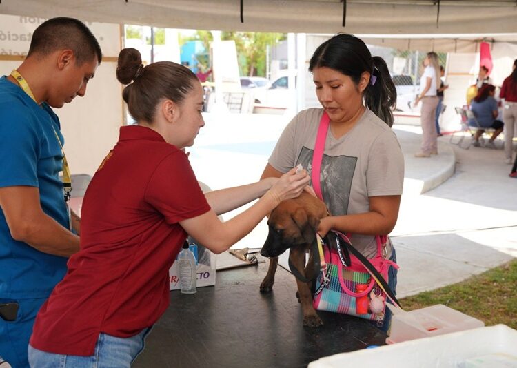 NLD acerca los servicios municipales con “Presidencia Cerquita de Ti”