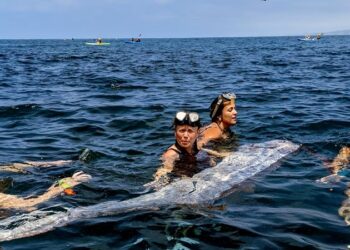 Falleció Kelley Mack, actriz de “The Walking Dead”