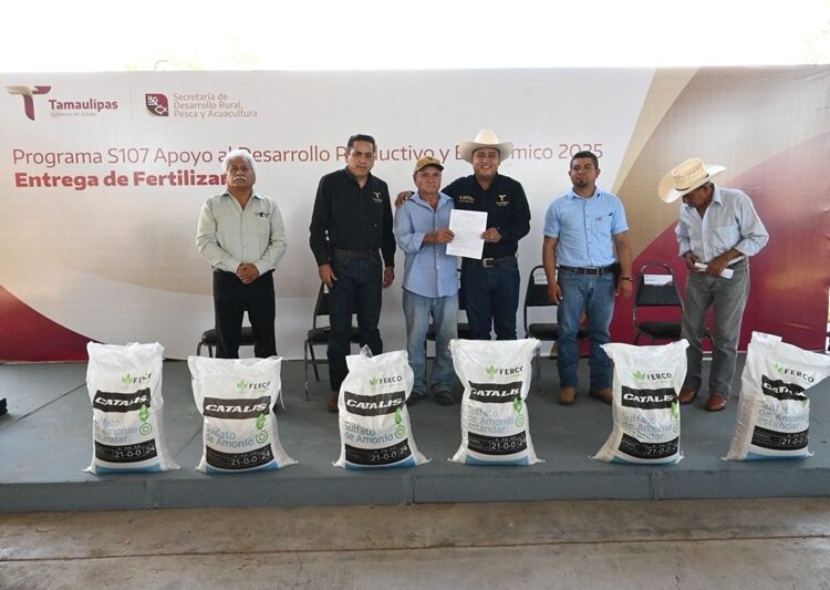 Programa estatal de fertilizante fortalece la productividad citrícola