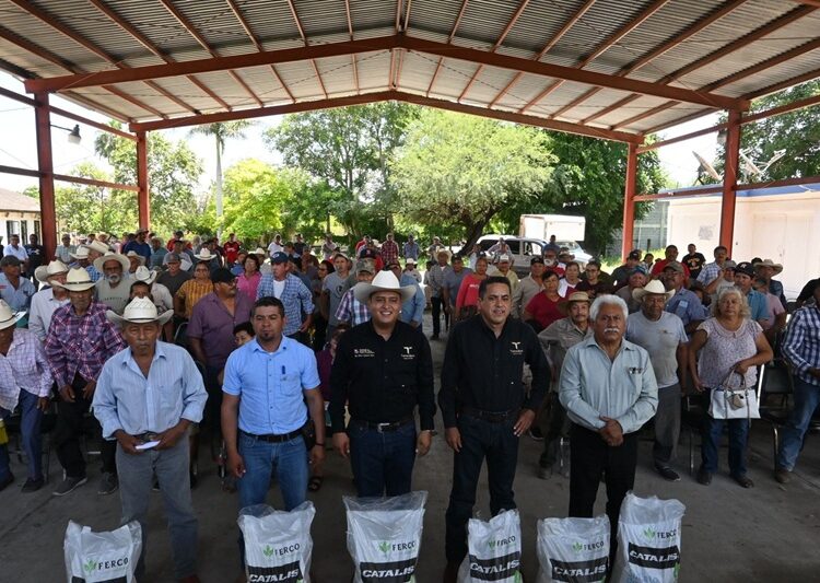 Programa estatal de fertilizante fortalece la productividad citrícola