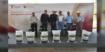 Programa estatal de fertilizante fortalece la productividad citrícola