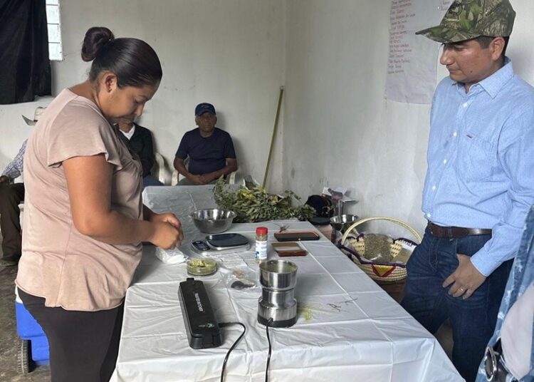 Promueven paquetes tecnológicos para el fortalecimiento del sector pecuario