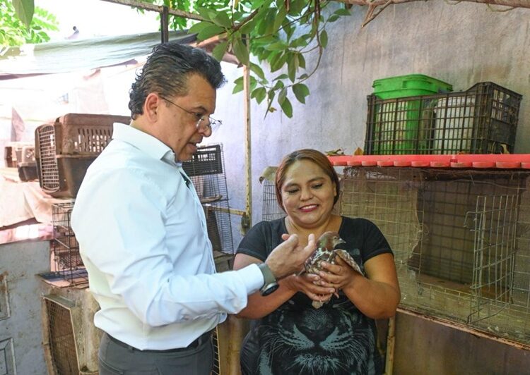 Reconoce Colectivo Animalista a Municipio por apoyar derechos de los animales