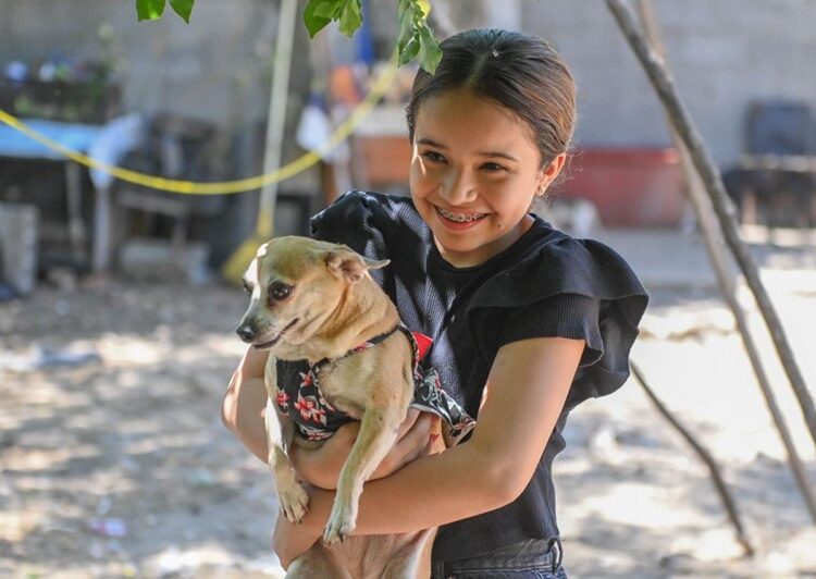 Reconoce Colectivo Animalista a Municipio por apoyar derechos de los animales