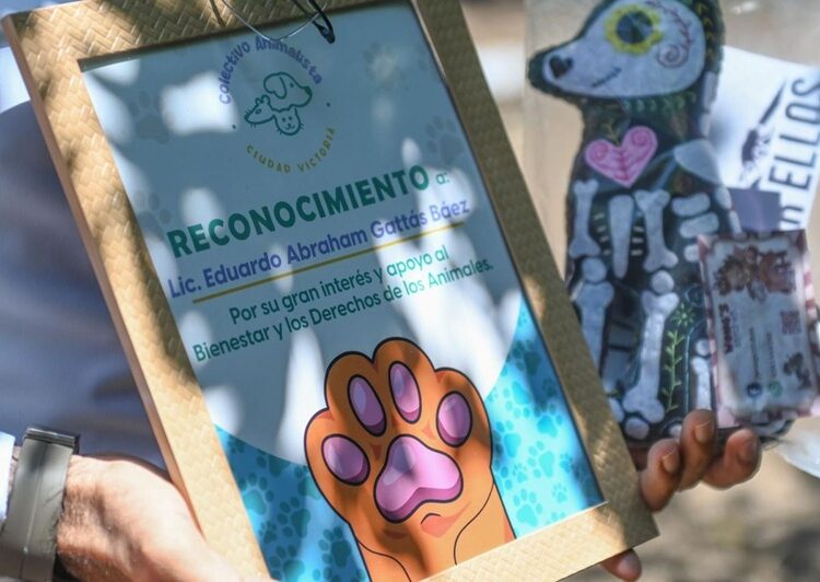Reconoce Colectivo Animalista a Municipio por apoyar derechos de los animales