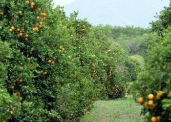 Preocupa a empresarios de Victoria la reducción de la jornada laboral