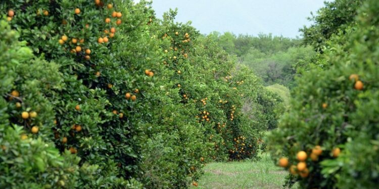 Preocupa a empresarios de Victoria la reducción de la jornada laboral