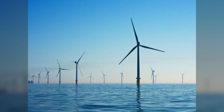 Tamaulipas apunta a instalar parques eólicos marinos en sus costas