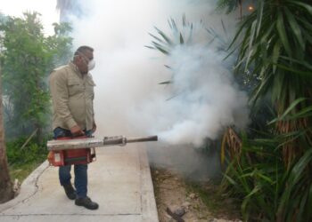 Tamaulipas está libre de ‘zika’ y ‘chinkungunya’, pero repunta el ‘dengue’