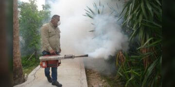 Tamaulipas está libre de ‘zika’ y ‘chinkungunya’, pero repunta el ‘dengue’