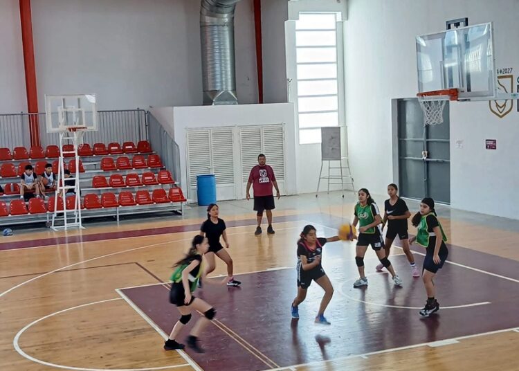 ¡Todo listo para los ‘Campamentos Deportivos de Verano 2025’ en NLD!