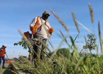 Trabaja Gobierno de Victoria en mejoramiento de imagen urbana de la Capital