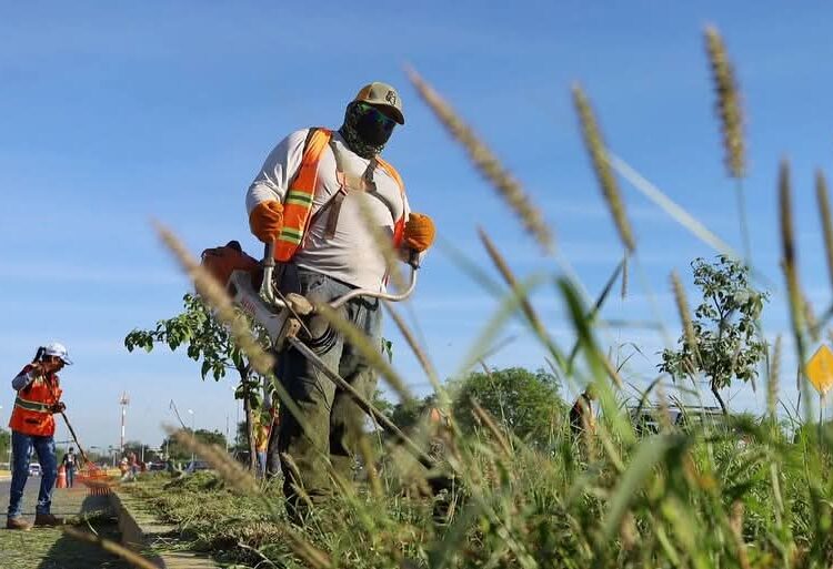 Trabaja Gobierno de Victoria en mejoramiento de imagen urbana de la Capital