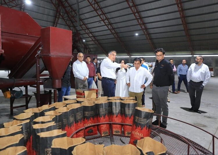 Avanza planta de combustibles limpios en Tamaulipas, con inversión de 6.5 MDD