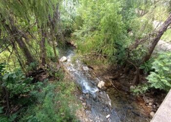 Basura contamina ríos, arroyos de Ciudad Victoria