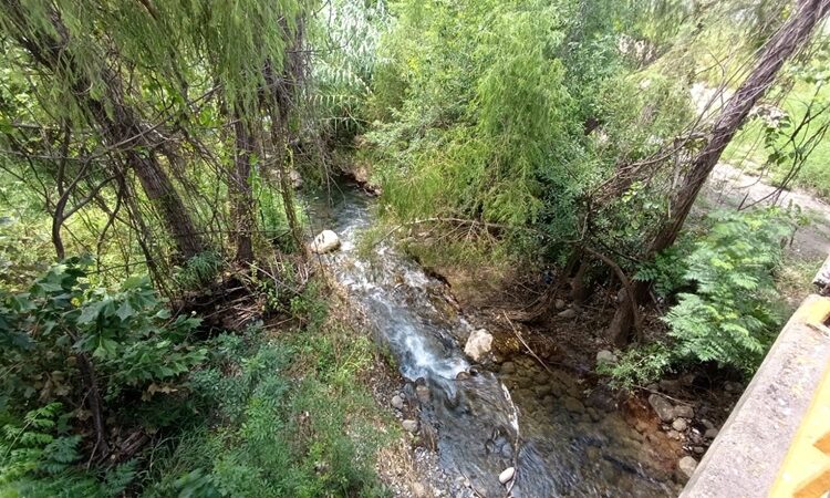 Basura contamina ríos, arroyos de Ciudad Victoria