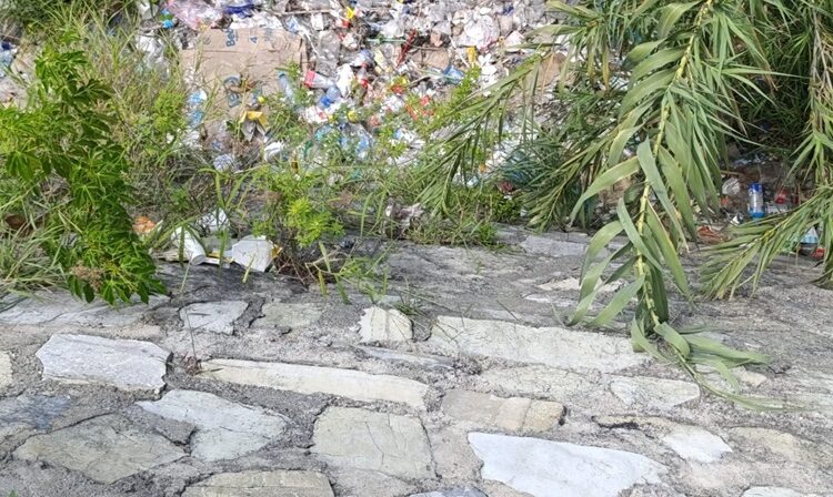 Basura contamina ríos, arroyos de Ciudad Victoria