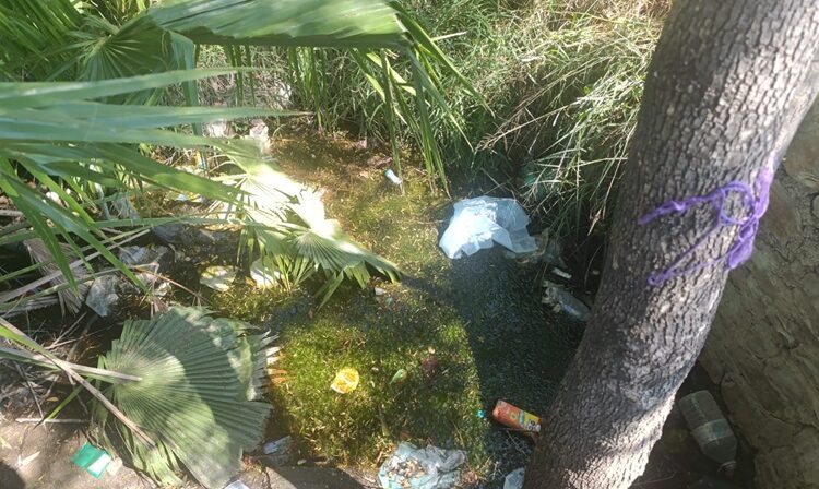 Basura contamina ríos, arroyos de Ciudad Victoria