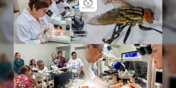 Colabora la UAT en medidas preventivas contra el gusano barrenador