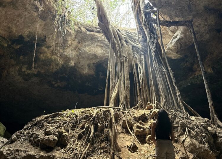 Con capacitación, certificación y registro se fortalece el turismo en Tamaulipas