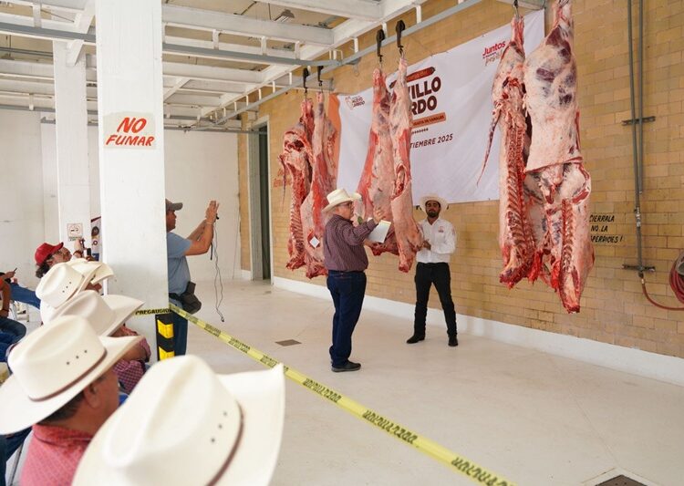 Consolida NLD el éxito del programa “Novillo Gordo” con la 2.ª etapa de evaluación y subasta