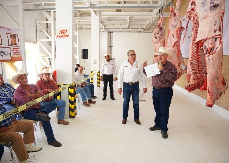 Consolida NLD el éxito del programa “Novillo Gordo” con la 2.ª etapa de evaluación y subasta