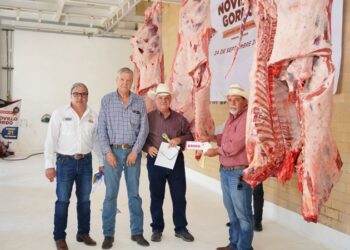 Consolida NLD el éxito del programa “Novillo Gordo” con la 2.ª etapa de evaluación y subasta