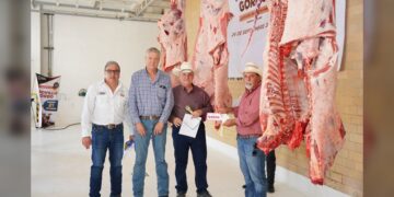 Consolida NLD el éxito del programa “Novillo Gordo” con la 2.ª etapa de evaluación y subasta