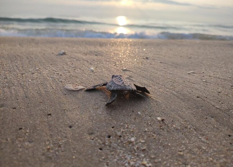 Convocan a participar en el 2º Concurso de Fotografía “Esto es Tamaulipas”