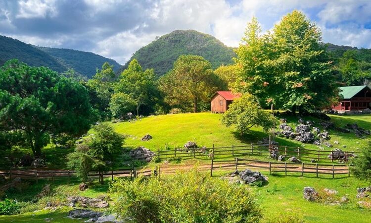 Convocan a participar en el 2º Concurso de Fotografía “Esto es Tamaulipas”