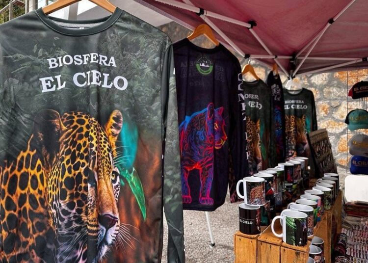 Con ‘Rutas de la Salud’ abastecen de medicamentos a hospitales de Tamaulipas